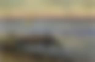 Bord de mer (preview)