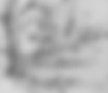 Tree study (preview)