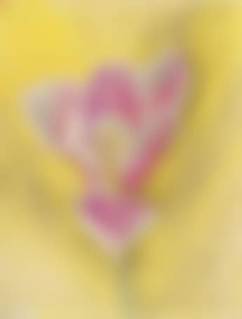 Flower (preview)