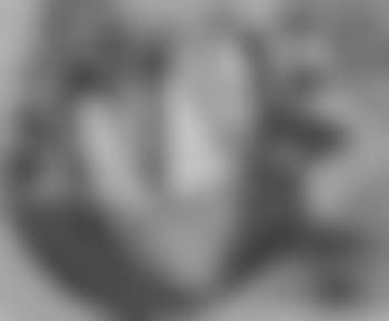 Modernist composition (preview)