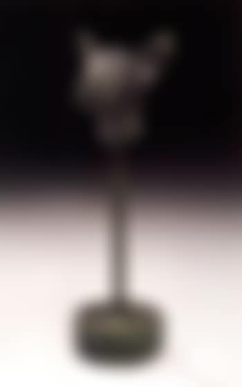 Tete de levrette (preview)