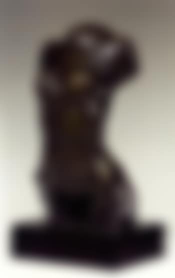 Torse de jeune femme (preview)