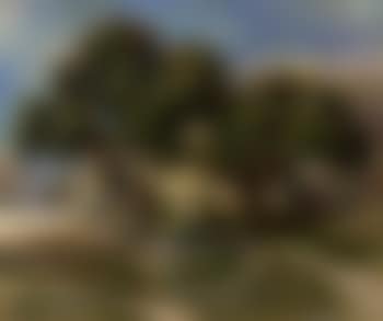 Les nefliers (preview)