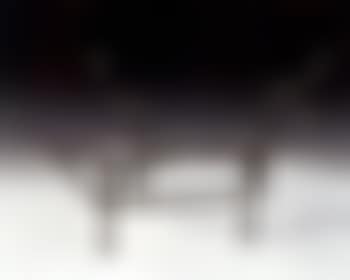 La table carcasse, version a la chauve-souris (preview)