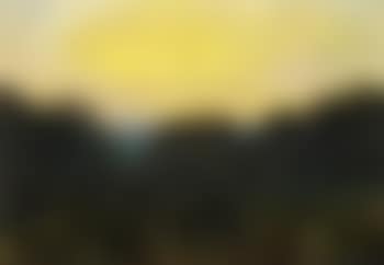 Twilight, the vegetable garden (preview)