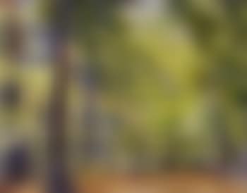 Epping Forest (preview)