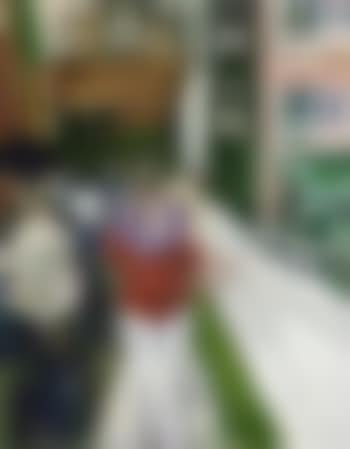 Carnival figures on the Rialto (preview)