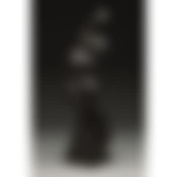 Performer (preview)
