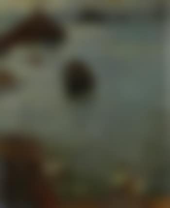 Recifs (preview)