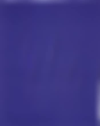 Concetto spaziale, attese (preview)
