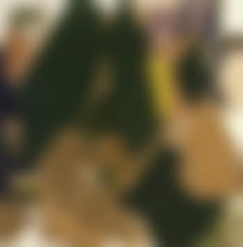 Untitled collage (preview)