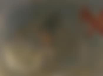 Composition (preview)