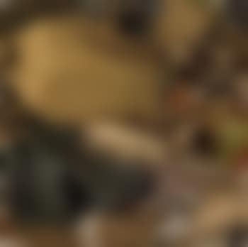 Orco (preview)