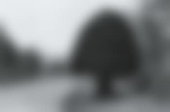 Ireland (preview)