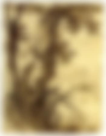 Tree on a rocky outcrop, buildings behind (preview)