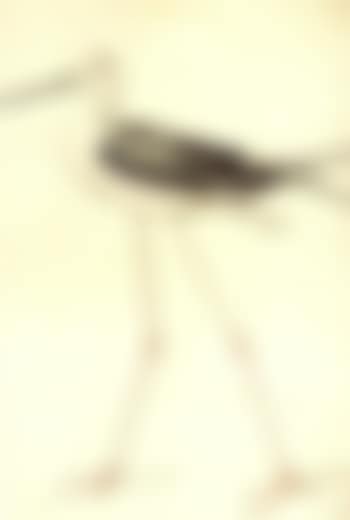 Black winged stilt (preview)