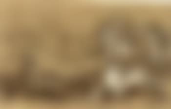 Battle scene (preview)