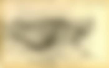Park landscape. View of the Marmorbat. Landscapes (preview)