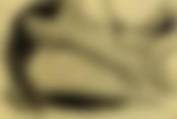 Cuilliere (preview)