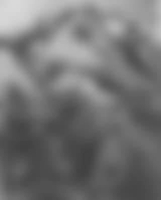 Landscape in Umbria (preview)