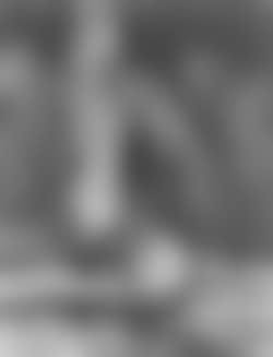 Woodcutters (preview)