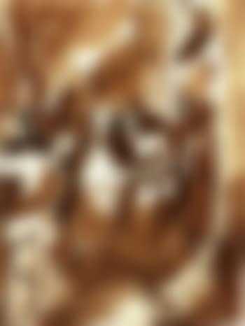 Visit (preview)