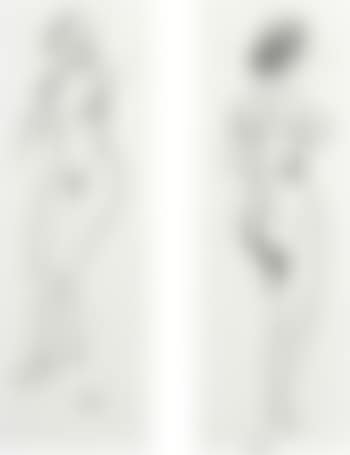 Female nudes (preview)