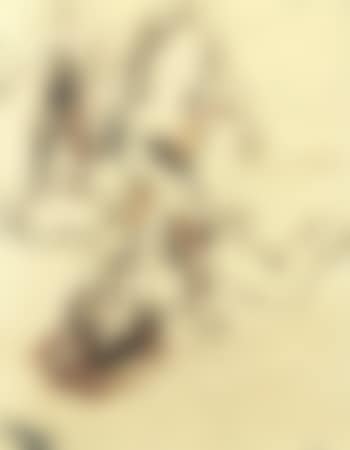 Study (preview)