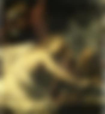 Susanna and the elders (preview)
