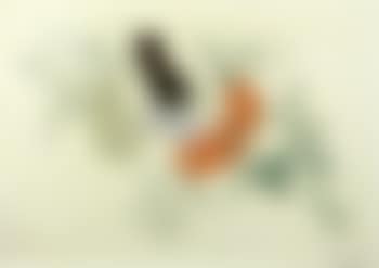 Five hundred lira (preview)