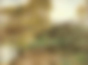 Mare pres de Mezy (preview)
