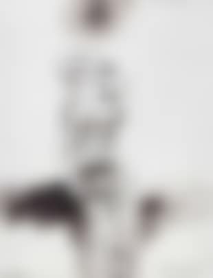 Figure and sun (preview)
