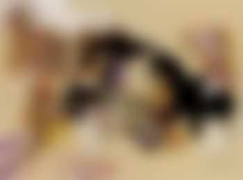 Fallen feathers (preview)