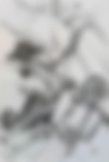 Farmer working in the field with a wheelbarrow (preview)