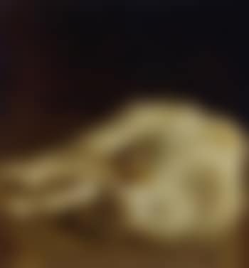 Taking a nap (preview)