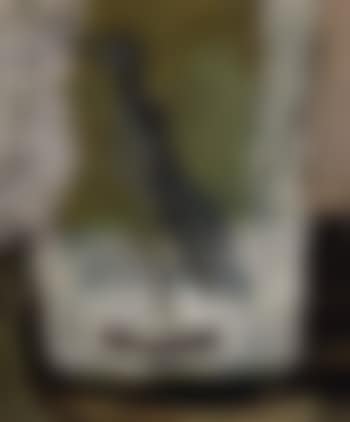 Stuffed bird (preview)