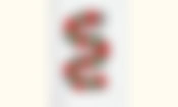 Untitled (preview)