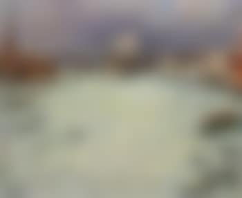 Venise, bassin Saint-Marc (preview)