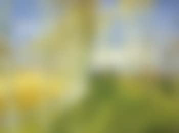 Paysage aux arbres (preview)