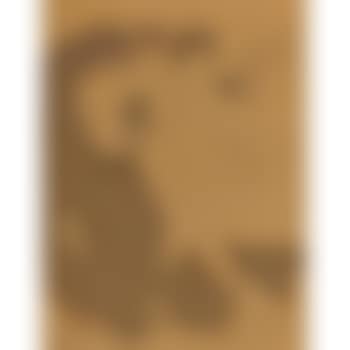 Couple on a horse (preview)