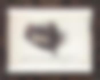 Nature morte (preview)