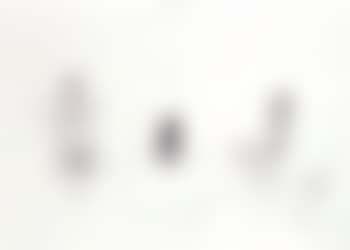 Torso (preview)