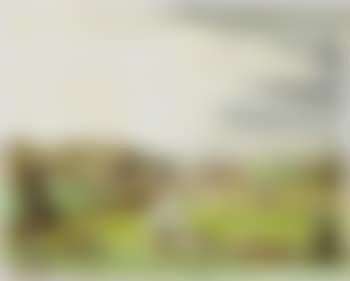 Landscape in Schleswig (preview)