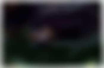 Steamer on green sea (preview)