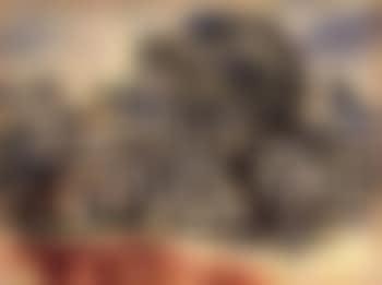 Trees in landscape (preview)