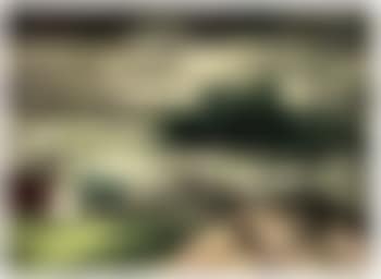 Arbres dans les dunes (preview)