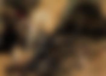 Penthesilea (preview)