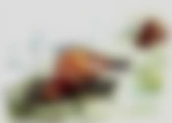 Sleeping horses (preview)