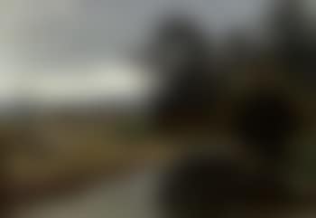 Autumn water meadows with cloudy skies (preview)