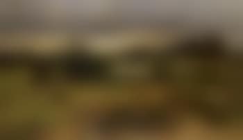 Landscape at dusk (preview)
